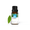 BEWIT Gáfor esenciálny olej (Varianta 15 ml)