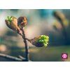 INTIM LOVE (Varianta Vzorek (5 ml))