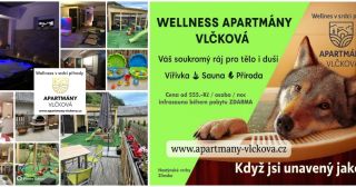 www.apartmany-vlckova.cz