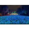 Adventní plavba do Pirny a na rozsvícené zámecké zahrady Pillnitz, autobusem zpět 2025 - 1 dítě do 10 let