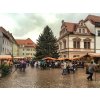 Adventní plavba do Pirny a na rozsvícené zámecké zahrady Pillnitz, autobusem zpět 2025 - 1 dítě do 10 let