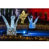 Adventní plavba do Pirny a na rozsvícené zámecké zahrady Pillnitz, autobusem zpět 2025 - 1 dítě do 10 let