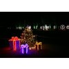 Adventní plavba do Pirny a na rozsvícené zámecké zahrady Pillnitz, autobusem zpět 2025 - 1 dítě do 10 let
