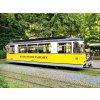 Bad Schandau a okolí 4
