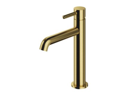 OMNIRES - Y umyvadlová baterie, 23 cm (hlava 25 mm), kartáčovaný mosaz Y1212CBSB