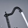 REA - Umyvadlová Kuchyňská baterie Rustico Old Black REA-B5520