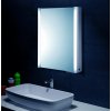 Koupelnová skříňka se zrcadlem a osvětlením 550x700x140mm