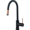 DEANTE - ASTER černá - měď - Dřezová baterie, s připojením vodního filtru BCA_B64M