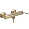 REA - Sprchová baterie Argon BRUSH GOLD REA-B7806