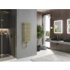 MEXEN/S - Neptun radiátor + topná tyč 900 x 500 mm, 300 W, zlatá W101-0900-500-2300-50