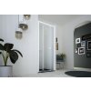 Sprchové dveře DECO N2S, 80 cm, Pravé (DX), Stampato C bezpečnostní sklo - 6 mm, Černá  DOPRAVA ZDARMA