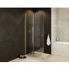 Walk-in sprchový kout VAYO GOLD, 100 cm, 200 cm, Univerzální Levé / Pravé, Čiré bezpečnostní sklo - 8 mm, Zlatá  DOPRAVA ZDARMA