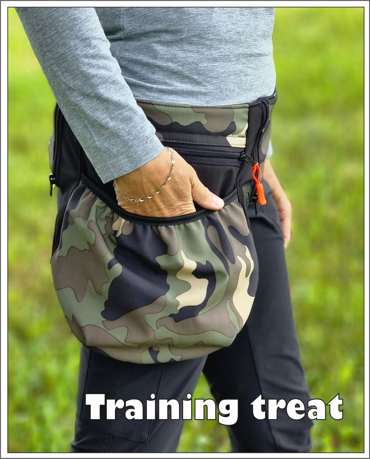 Training treats, handbags, skirts and pockets