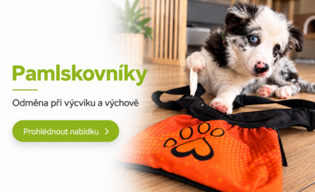 vodítka a obojky pro psy, výroba i s vlastním jménem psa