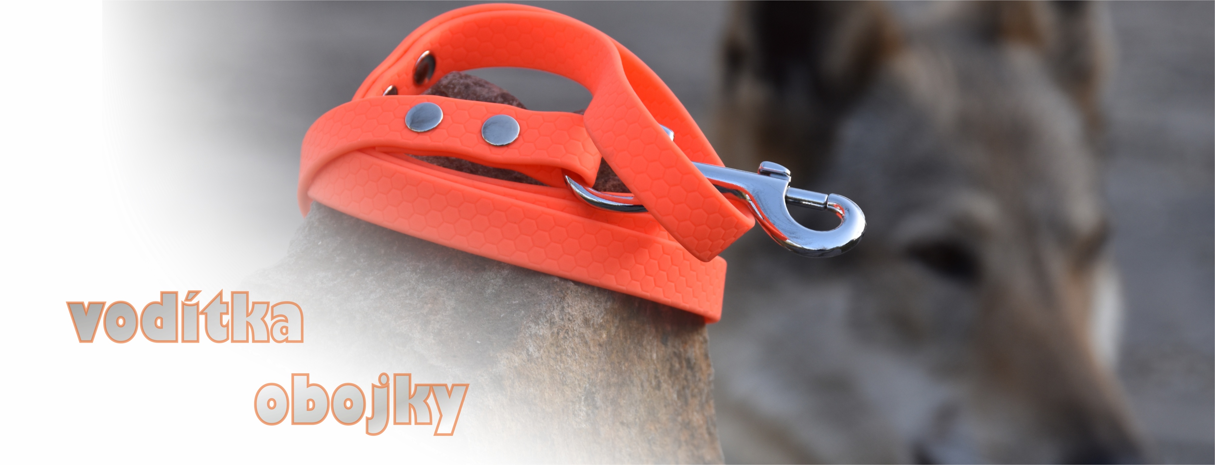 vodítka a obojky