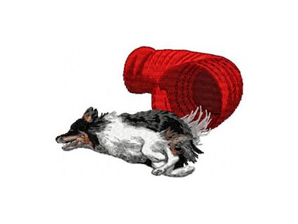 Embroidery Agility tunnel