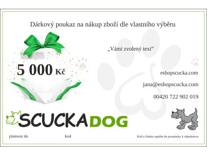 DÁRKOVÝ POUKAZ NOVÝ.
