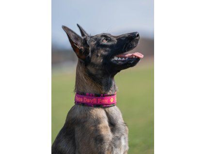 Collar with a name GRANDE