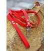 Leash HEXA  width 16 mm red
