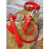 Leash HEXA  width 20 mm red