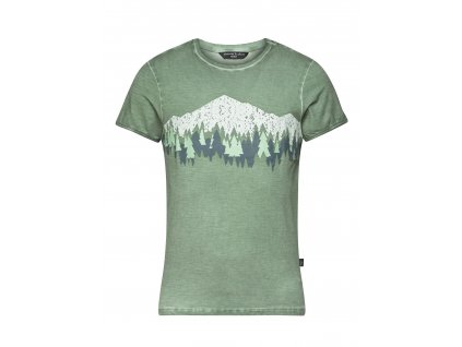 WOODS AND MOUNTAINS