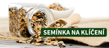 Semínka na klíčení
