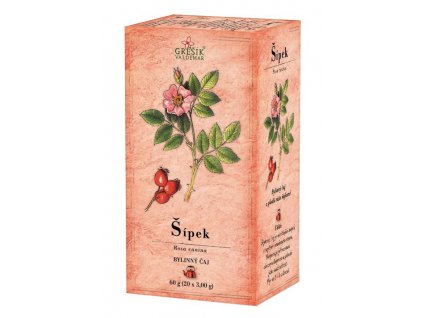 21615 sipek 20 n s gresik