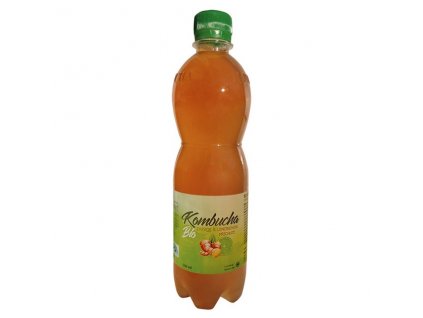 KOMBUCHA ZÁZVOR S LIMETKOU BIO 500 ml