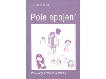 Pole spojení - Praxe organizačních konstelací