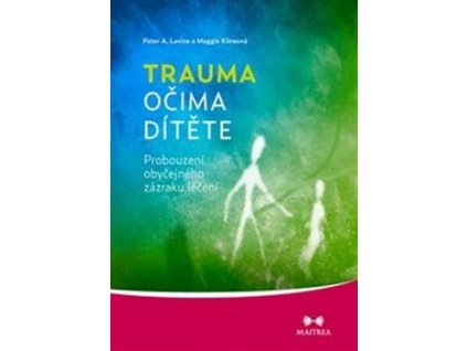 31505 trauma ocima ditete