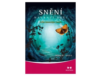 31721 sneni navraci dusi