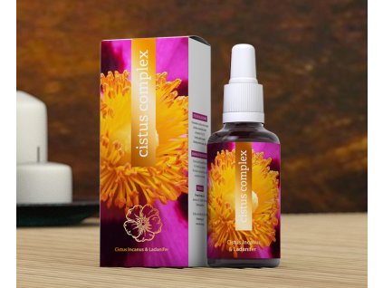 header cistus complex