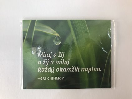 75106 magnet na lednici miluj a zij