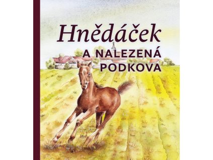 Hnedacek obalka predni