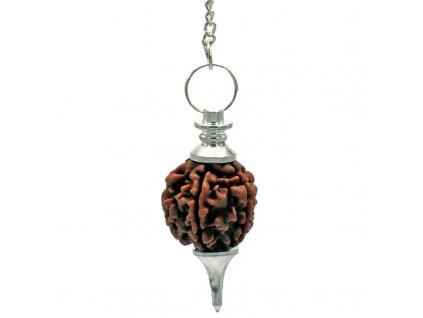 91614 kyvadlo rudraksha 4 5cm 10g