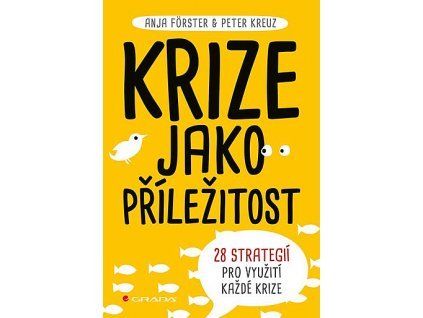 big krize jako prilezitost yzR 482352