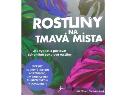 big rostliny na tmava mista oqs 501619