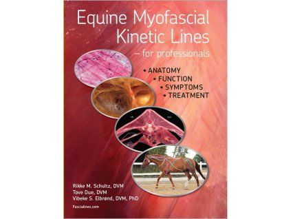 equine