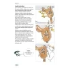 das pferdebuch 60 725x1024