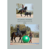 Working Equitation CZ 036 result 726x1024