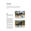 Working Equitation CZ 040 result 726x1024