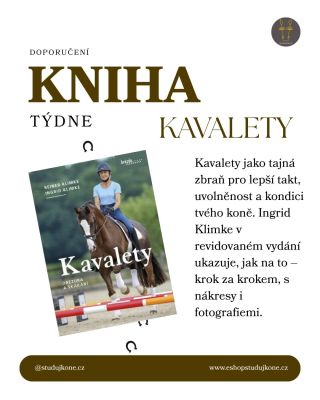 Kavaleta posiluje svaly, zlepšuje balanc, koordinaci a takt. Ale zároveň trénuje motivaci a samostatnost — a odhaluje...