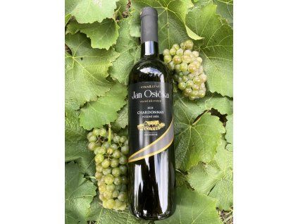 CHARDONNAY 2025 polosuché