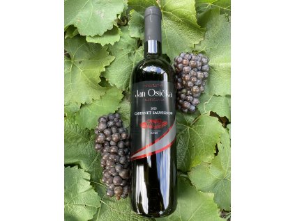 CABERNET SAUVIGNON 2023 suché