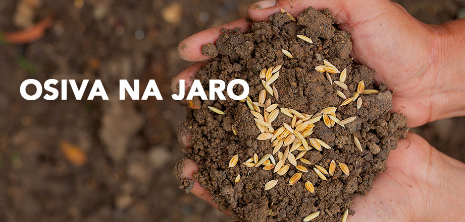 Osiva na jaro