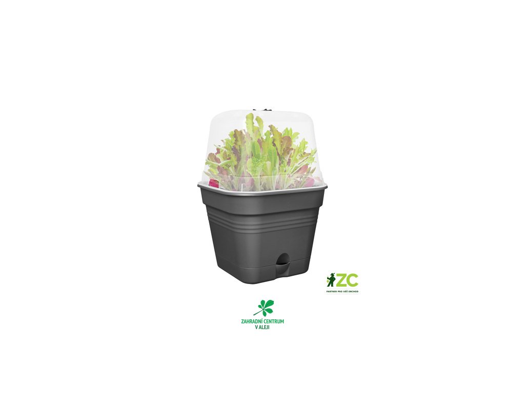 0451baef 8708 404d b272 d6dbc3a6789a