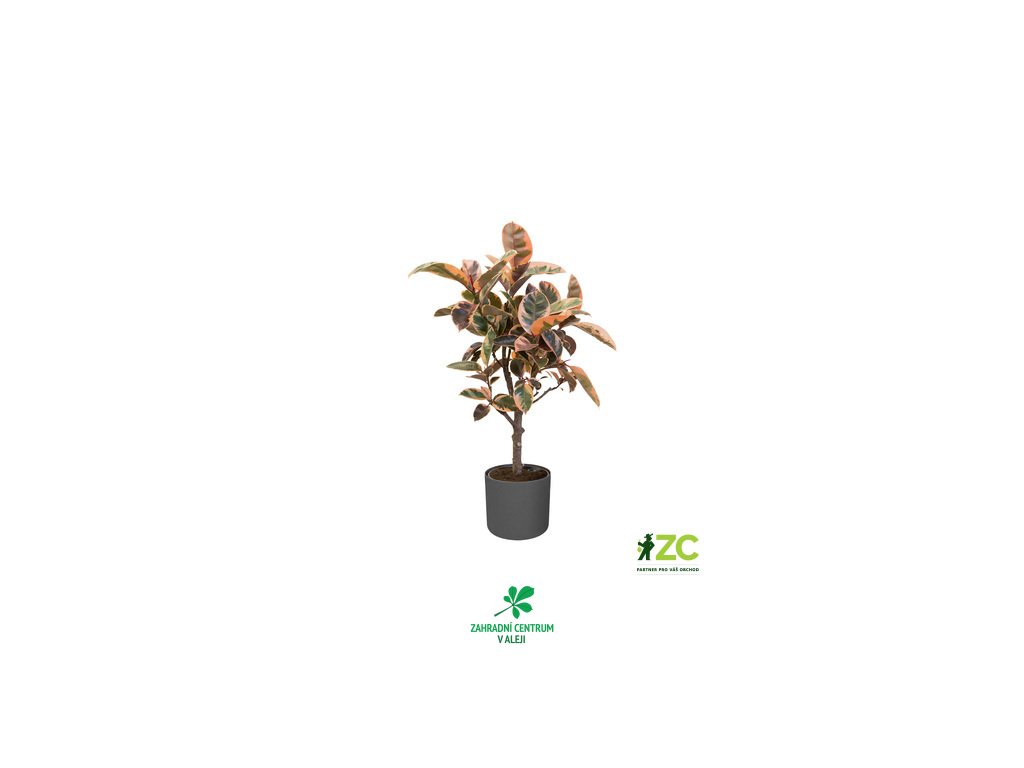 679e26ae 5d75 45b8 a104 7e6c54da175f