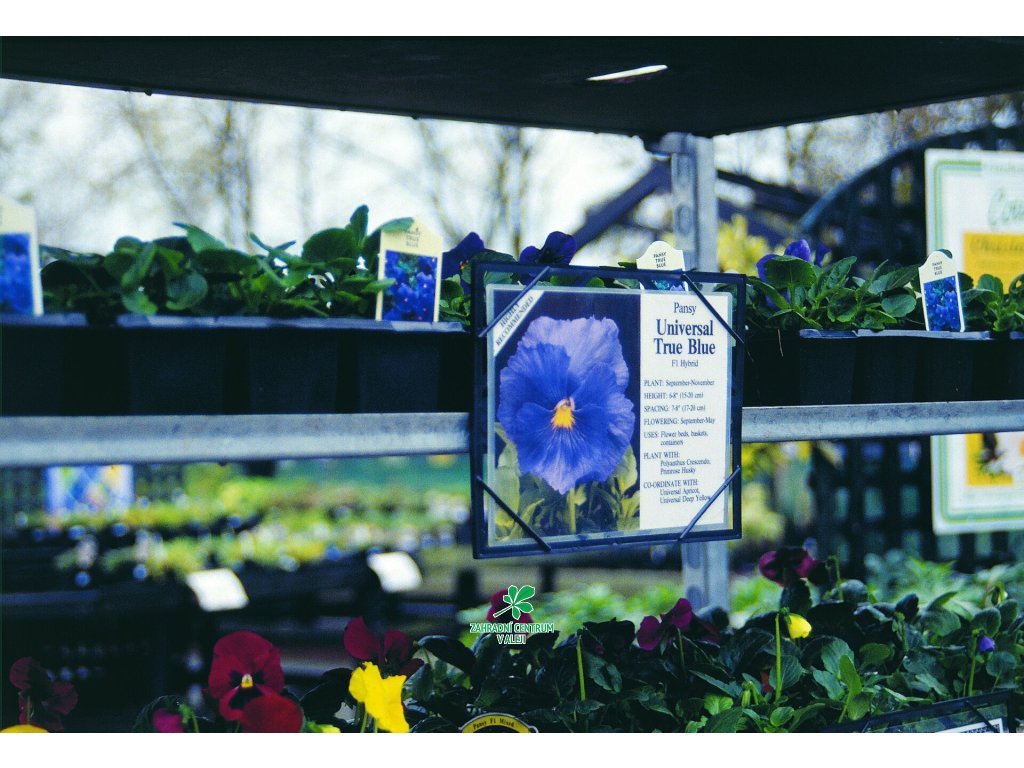 2c310206 e895 44ab 8114 ef89b6d55c23