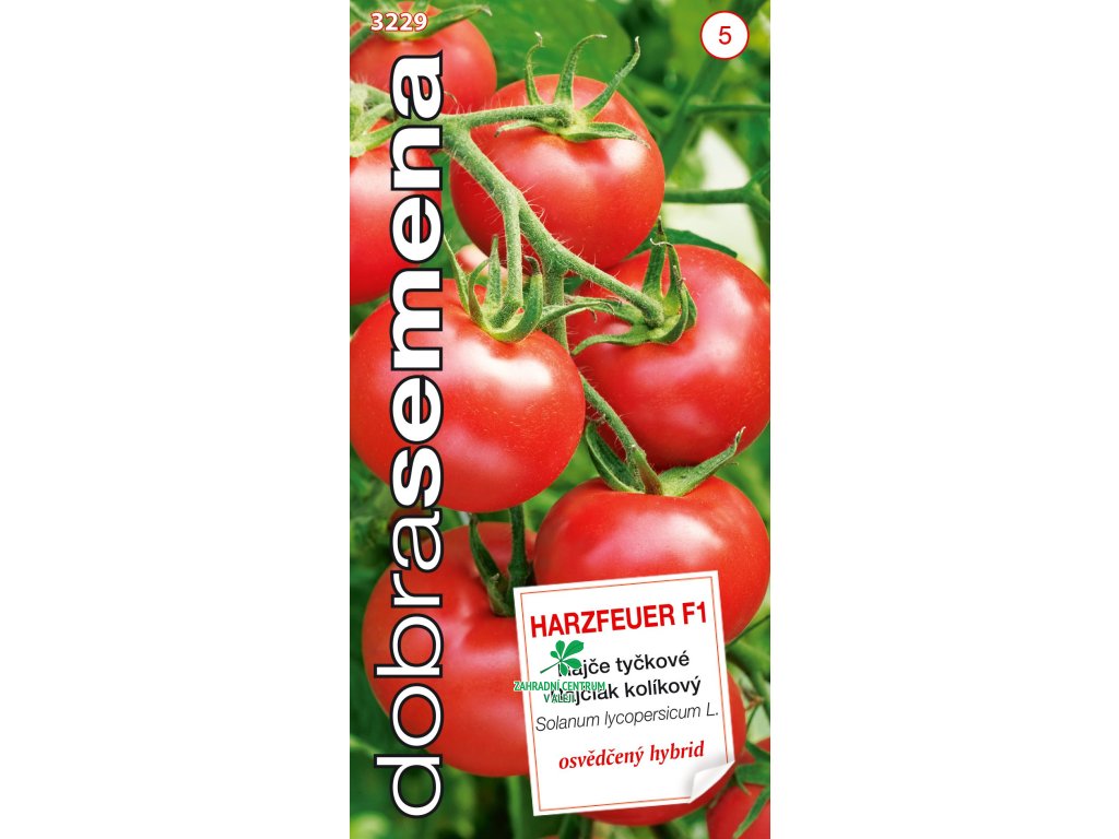 eec76309 3ace 4a74 81b5 b7f69eb9589b