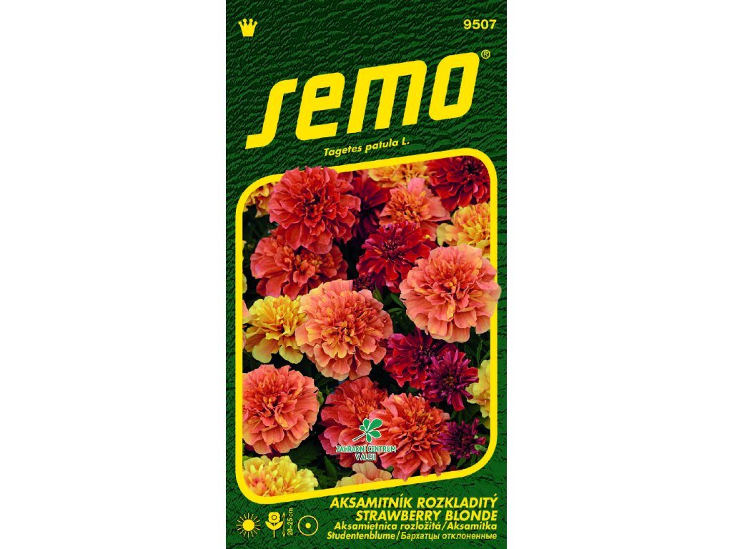 297816b8 ab45 474b b02f dd7e4eb49b08